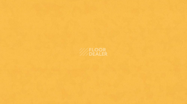 Линолеум Taralay Premium Compact 8255 GOLDEN SUNSET фото 1 | FLOORDEALER